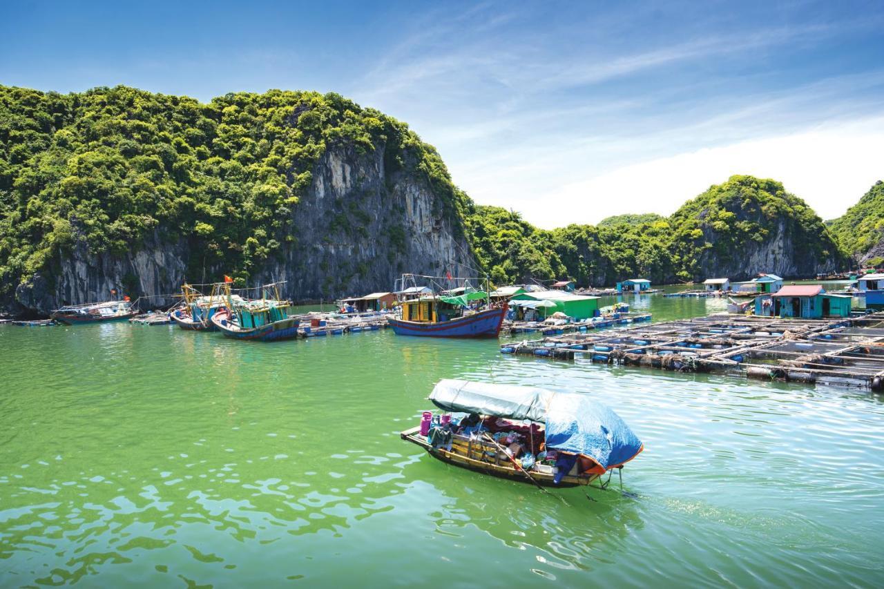Отель Sena Cruises - Wonder On Lan Ha Bay Халонг Экстерьер фото
